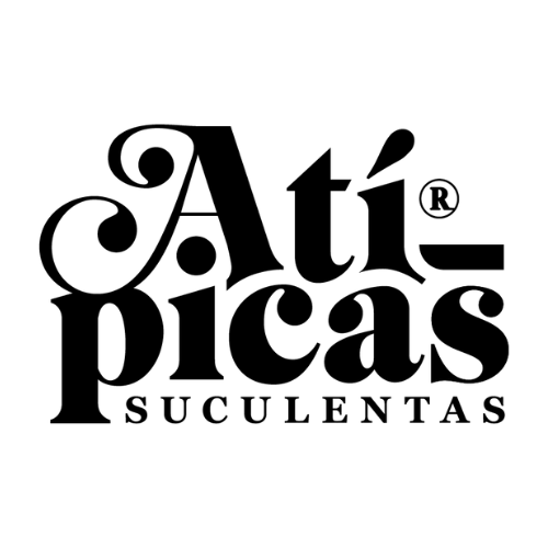Atípicas Suculentas