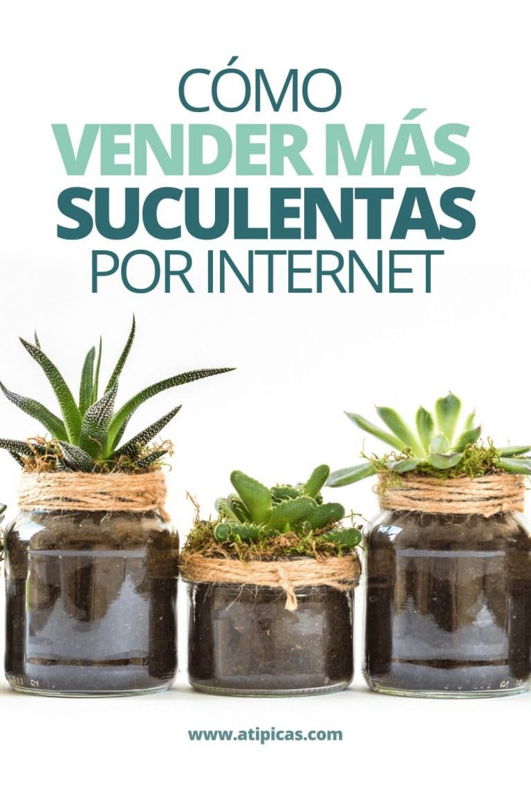 Cómo vender suculentas por internet