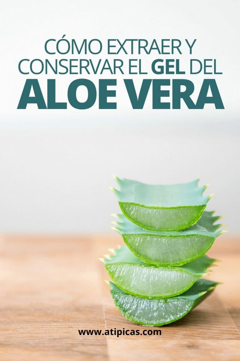 Cómo extraer y conservar el gel del Aloe vera